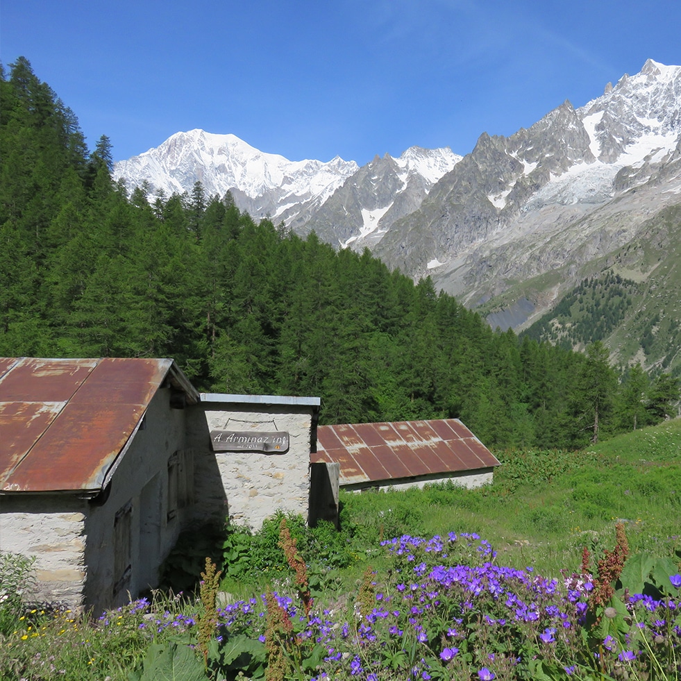 Tour du Mont Blanc in 7 days - D1 Tour du Mont Blanc in 7 days - D1
