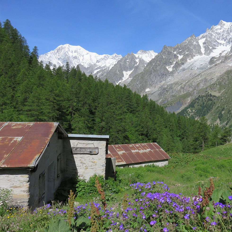 Tour du Mont Blanc in 7 days - D1