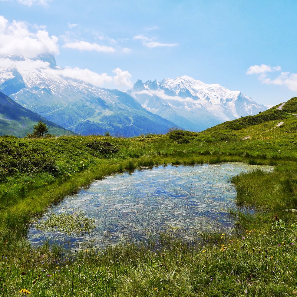 Tour du Mont Blanc in 7 days - D6 Tour du Mont Blanc in 7 days - D6