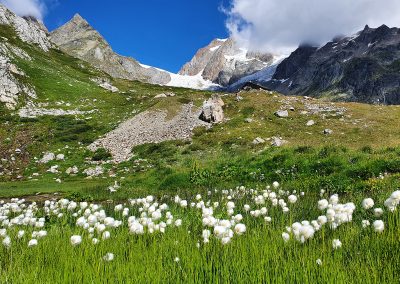 Sous-le-Sous le refuge