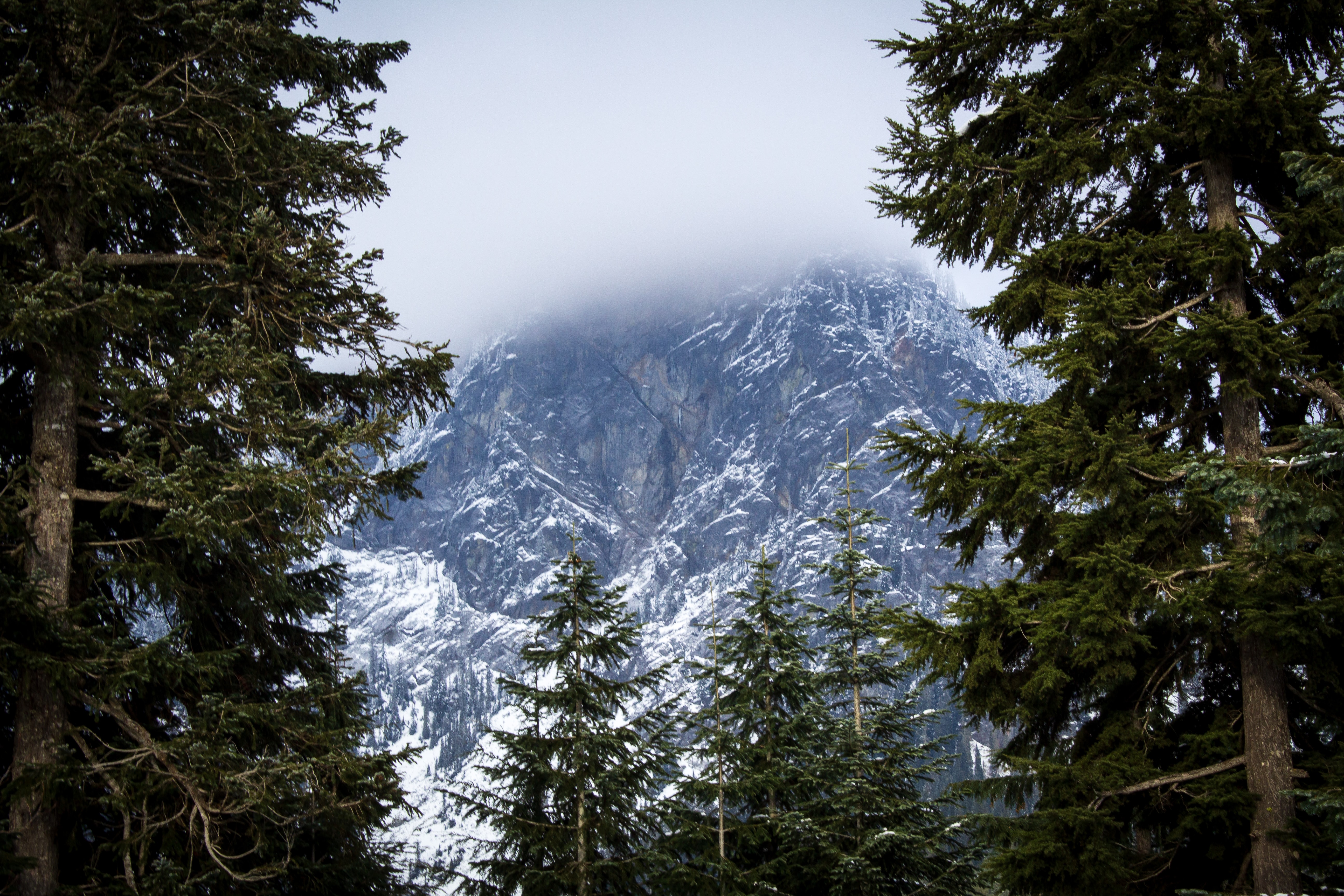 Randonnée en montagne