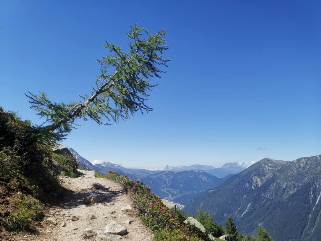 Photo du sentier transversal entre le Plan de l'Aiguille et le Montenvers dominant toute la vallée de Chamonix