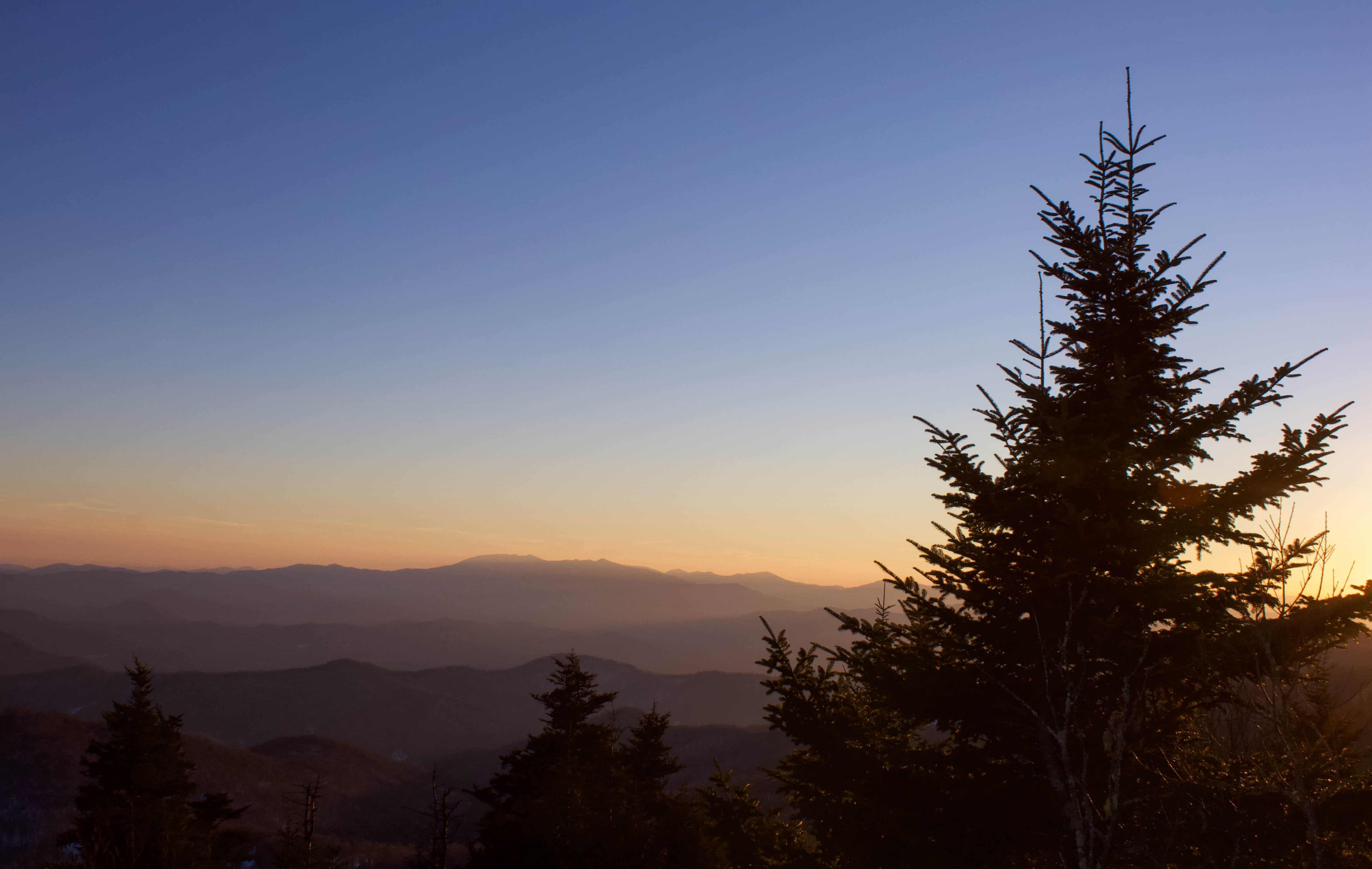 Lumières du couché de soleil dans le ciel avec les montagnes au loin et un sapin sur le côté