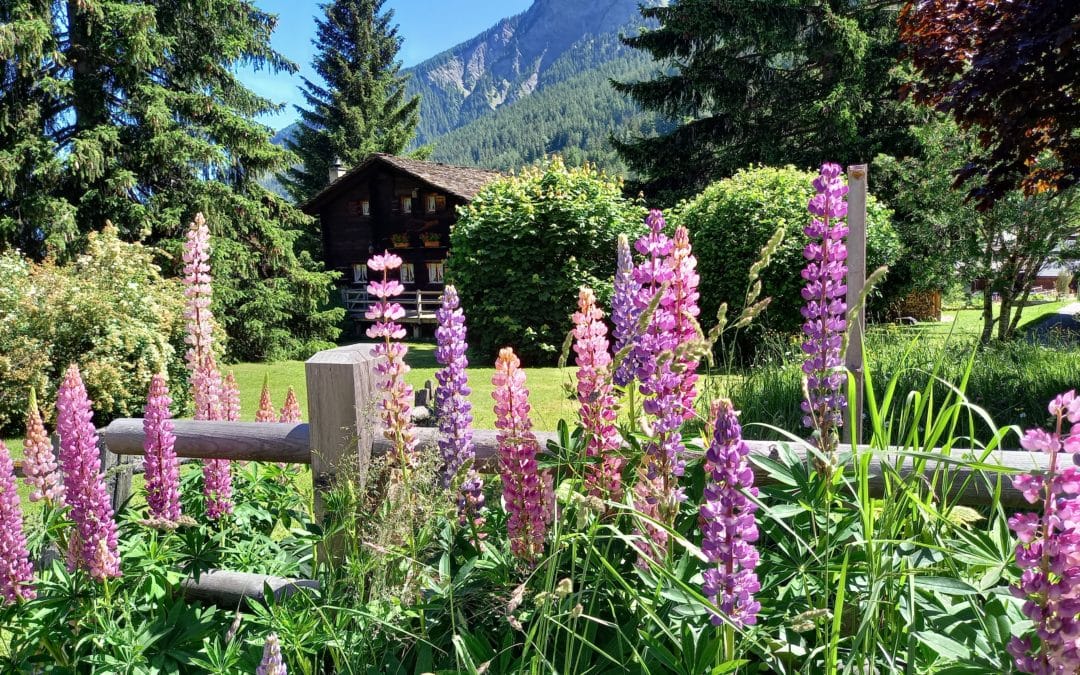 Faire le Tour du Mont Blanc intégral en 9 jours : le guide complet