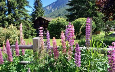 Faire le Tour du Mont Blanc intégral en 9 jours : le guide complet