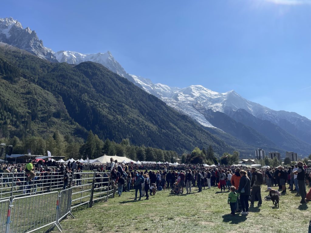 Combat de reines Chamonix