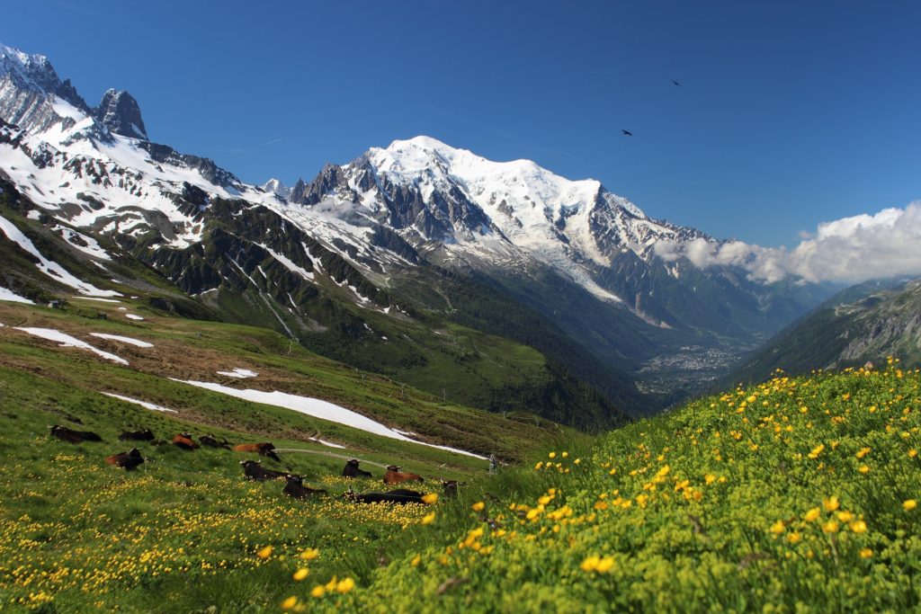 Paysage sur le Tour du Mont Blanc