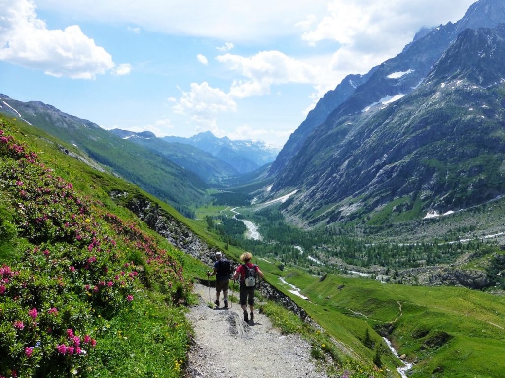 descente du grand col ferret sur le TMB