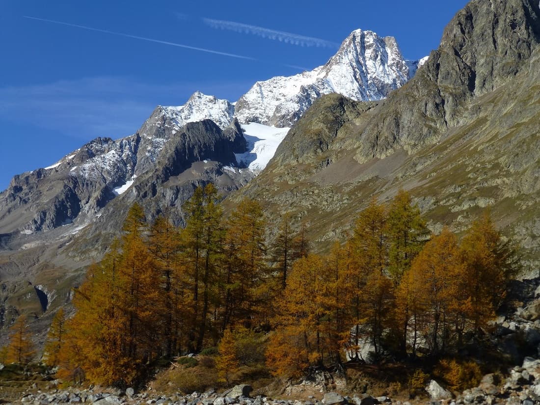 View on the Tour du Mont Blanc with a guide