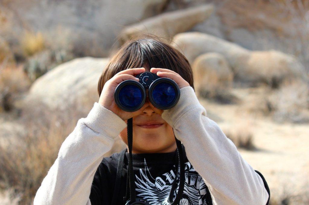 Entertaining your whildren when trekking with animal observation