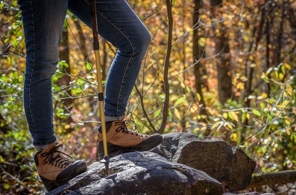 A hiking stick with several strands